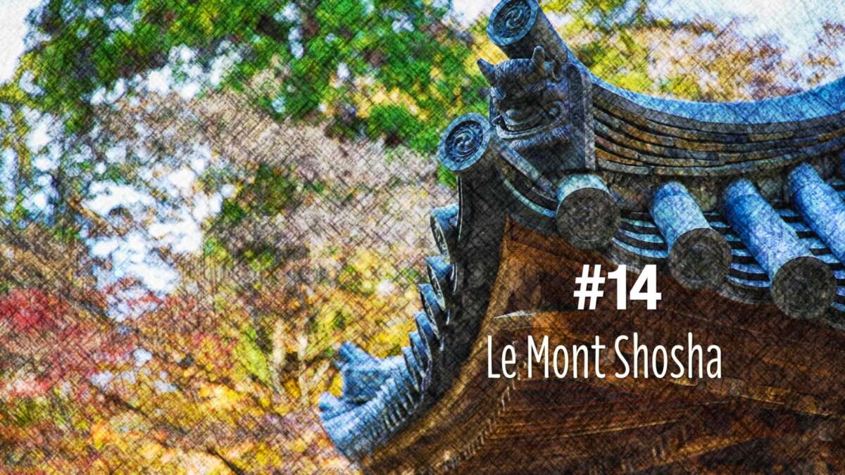 Couleurs d’automne au mont Shosha dans la région d’Himeji (#14)