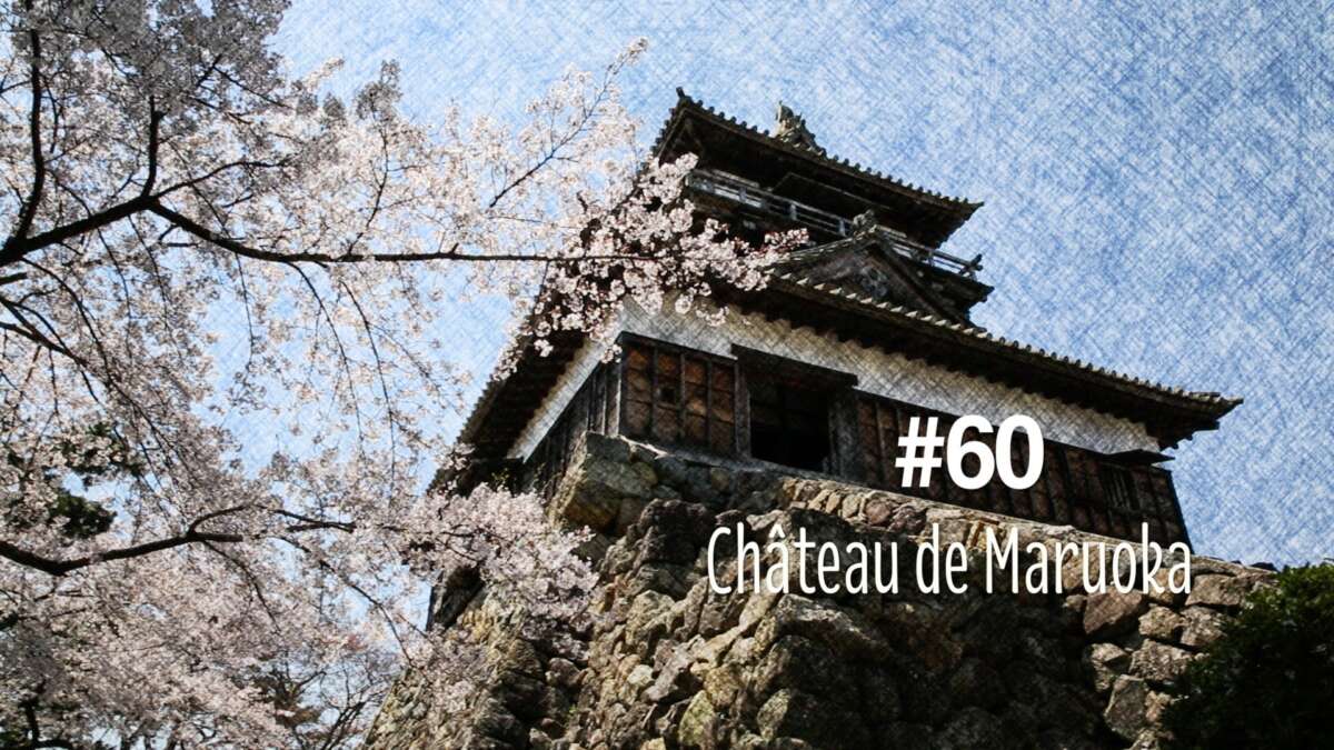 Le château de Maruoka (#60)