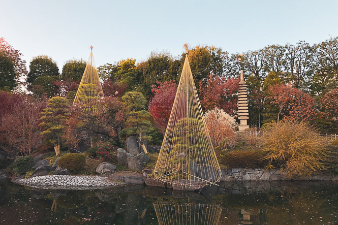 Promenade dans un jardin tokyoïte