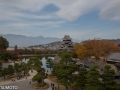 chateau_japon-matsumoto-9