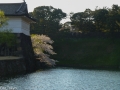 edo_castle_tokyo-16