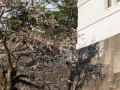 edo_castle_tokyo-17