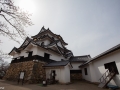 hikone-15