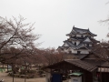 hikone-16