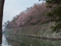 hikone-3