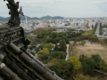 himeji__japon__shachihoko