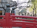 sakura2014-28032014-p1000544