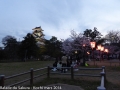 sakura2014-28032014-p1000590