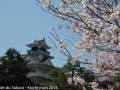 sakura2014-29032014-7v0b0381