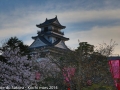 sakura2014-29032014-7v0b0551