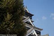chateau_kumamoto_japon-kumamoto-17