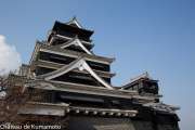 chateau_kumamoto_japon-kumamoto-18