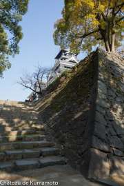 chateau_kumamoto_japon-kumamoto-19