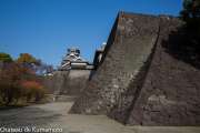 chateau_kumamoto_japon-kumamoto-20