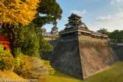 chateau_kumamoto_japon-kumamoto-23