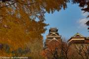 chateau_kumamoto_japon-kumamoto-29