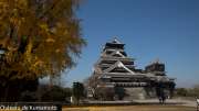 chateau_kumamoto_japon-kumamoto-34