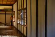 chateau_kumamoto_japon-kumamoto-38