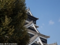 chateau_kumamoto_japon-kumamoto-17