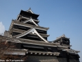 chateau_kumamoto_japon-kumamoto-18