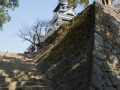 chateau_kumamoto_japon-kumamoto-19