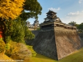 chateau_kumamoto_japon-kumamoto-23