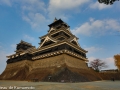 chateau_kumamoto_japon-kumamoto-24