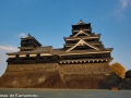 chateau_kumamoto_japon-kumamoto-25