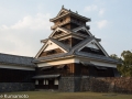 chateau_kumamoto_japon-kumamoto-27