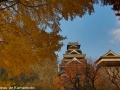 chateau_kumamoto_japon-kumamoto-29