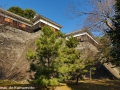 chateau_kumamoto_japon-kumamoto-31