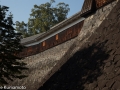 chateau_kumamoto_japon-kumamoto-32