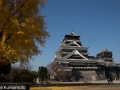 chateau_kumamoto_japon-kumamoto-34