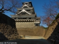 chateau_kumamoto_japon-kumamoto-35