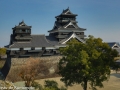 chateau_kumamoto_japon-kumamoto-39