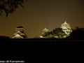 chateau_kumamoto_japon-kumamoto-43