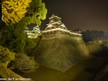 chateau_kumamoto_japon-kumamoto-44