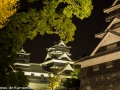 chateau_kumamoto_japon-kumamoto-45