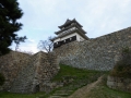 sakura_02042014-p1010536