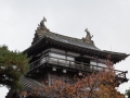 chateaux-bds-japon-maruoka-24