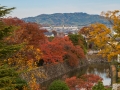 chateau_matsumoto_bds-japon-matsumoto-12