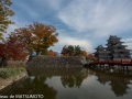 chateau_matsumoto_bds-japon-matsumoto-28