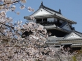 sakura_matsuyama_01042014-p1010205