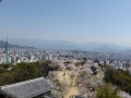 sakura_matsuyama_01042014-p1010310