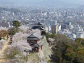 sakura_matsuyama_01042014-p1010327