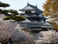 sakura_matsuyama_01042014-p1010374