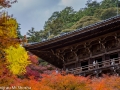 article14_japon-momiji-mt-shosha-13