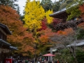 article14_japon-momiji-mt-shosha-15