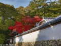 article14_japon-momiji-mt-shosha-31