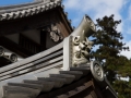 article14_japon-momiji-mt-shosha-8
